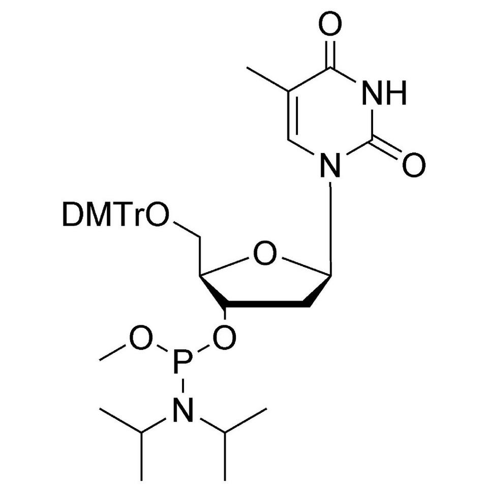 dT Me-Phosphoramidite